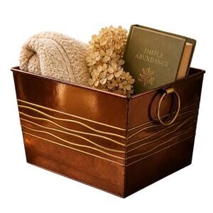Harry & David rubbed bronze Storage Bin Decorative Box Planter Rustic Farmhouse